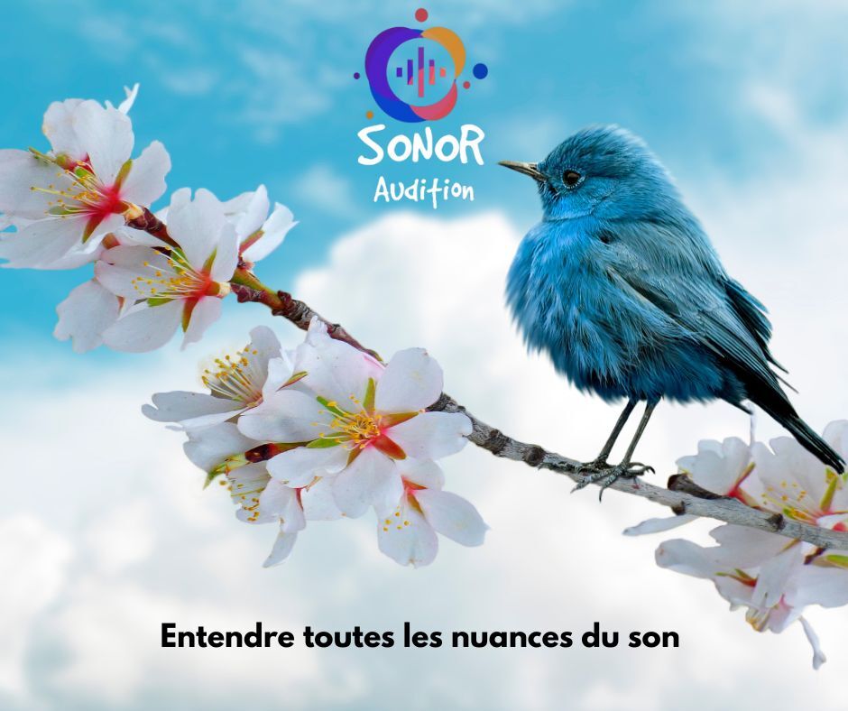 Image de l'actualité Entendre toutes les nuances du son